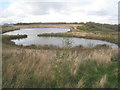 Landscaped balancing pond (3)