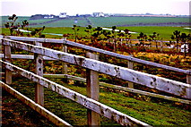 C9443 : Antrim Coast - Grassland near Causeway Hotel enclosed by Wooden Fence by Joseph Mischyshyn