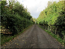 TR2557 : Restricted Byway from Brook Farm by Chris Heaton