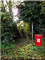 Footpath to Rosemary Lane