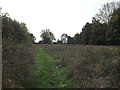 Footpath to Curlew Green