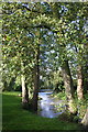 Looking along Sor Brook to weir by Bodicote Mill House