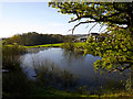 Hammerden Farm Pond Stonegate