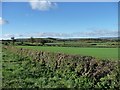 Farmland west of Nunnington