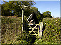 TQ6427 : Dens Farm Foot Path Guardian by Peter Skynner