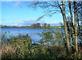 Milton Loch Shoreline