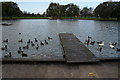 The boating lake at Costello Playing Fields.