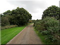 Track leading towards Canterbury Golf Course