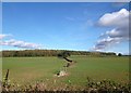 Fields near Burleigh Farm