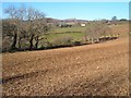 Field near Narracombe