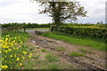 Farm track leading to B6271, Moor Lane