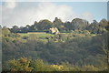 Stroud District : Hillside Scenery