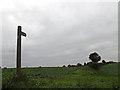 Footpath to the A14