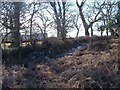 Moorland edge above the Lemon valley