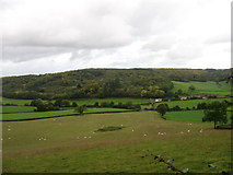 SO5834 : Farmland on Common Hill by David Purchase