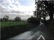 SO5931 : The lane to How Caple by David Purchase