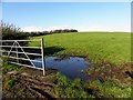 An open field, Castelroddy Glebe