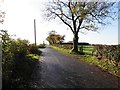 Reaghan Road, Dunbreen