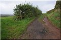 Track and footpath, Uphampton