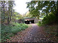 Public footpath to Ecton Brook