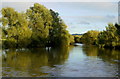 SO9242 : River Avon - upstream from Eckington Bridge by Jonathan Billinger