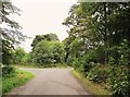 Approaching a road junction on Blairhall Road