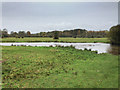 View across Chilbolton Cow Common