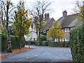 Lime Tree Avenue, Garden Village, Kingston upon Hull