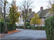 TA1130 : Lime Tree Avenue, Garden Village, Kingston upon Hull by Bernard Sharp