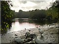 SD8303 : The Lake at Heaton Park by David Dixon