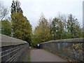 Jogger on Lyles Bridge