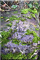 Benchmark on Priory Road railway bridge abutment