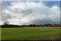 Fields behind the houses