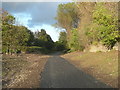 New cycle route alongside Bradford Beck