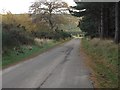 Minor road near Carnoch