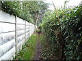 Footpath leading to Wicker Lane