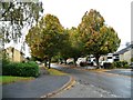 Autumn colour, Daniells, Welwyn Garden City