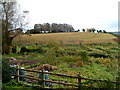 Wotton-under-Edge allotments