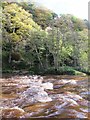 Natural weir on the River Allen below Raven Crag (3)