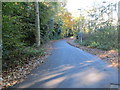 Darkwood Way - looking towards Shadwell Lane