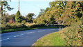 J4767 : The Ballydrain Road near Comber by Albert Bridge