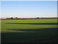 View towards Bassingham Grange