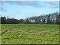 Reservoirs near Ditcham Park School