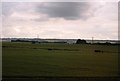 TQ5469 : Farmland by the M25 by N Chadwick