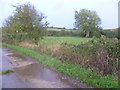 Track to the west of Chapel Farm