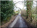 Sunbank Lane, near Halebank Farm