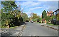 Westcombe Avenue - looking towards Kedleston Road