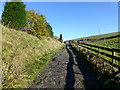 Rough track near New Haugh Farm