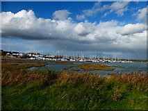 SU7204 : Northney Marina seen from the south east by Shazz
