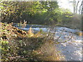 Small Waterfall on the White Cart Water